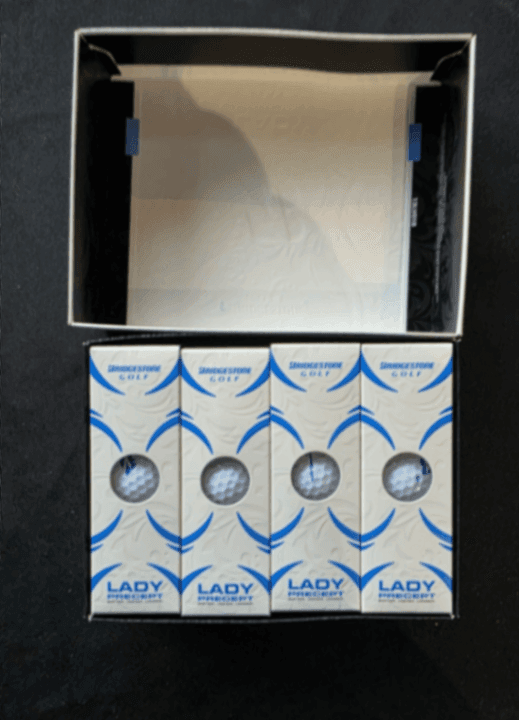 Ball Bridgestone E6 1 dozen (12 balls) New