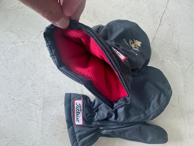 Glove Titleist Black Regular Right Men Used
